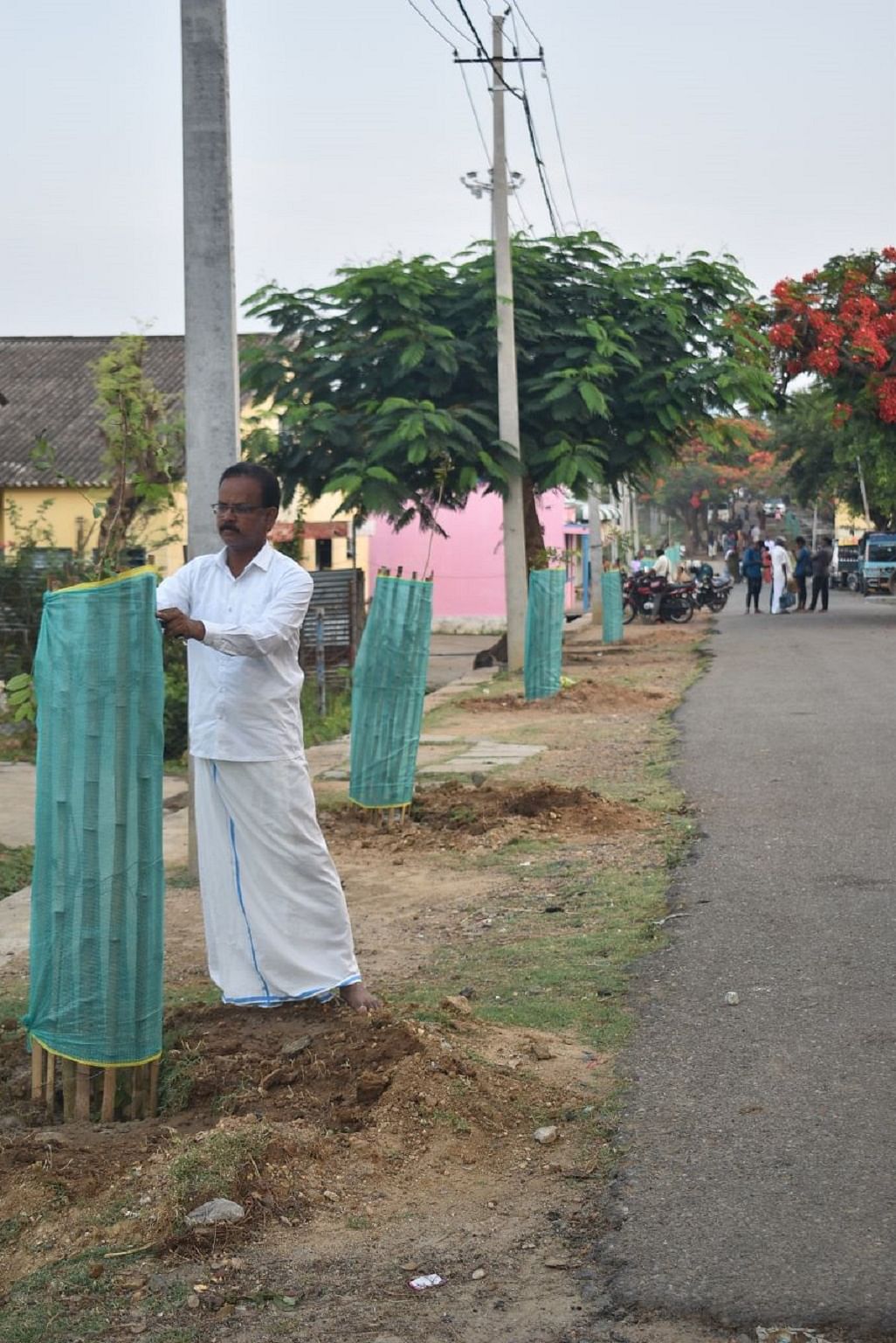 ಸಾಲು ಗಿಡಗಳ ನಿರ್ವಹಣೆಯಲ್ಲಿ ಸಿ.ಎಂ.ವೆಂಕಟೇಶ್‌