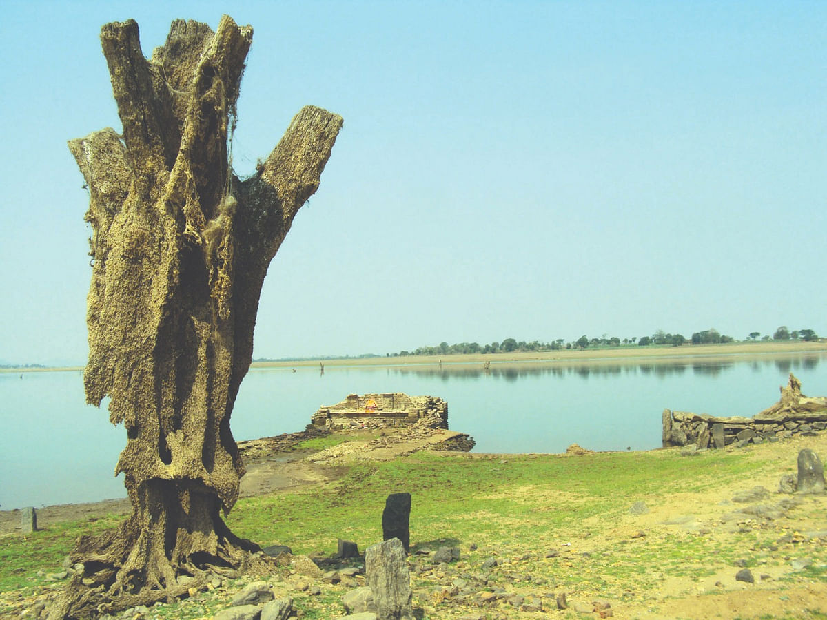 ಮಾಂಕಾಳಮ್ಮ ದೇವಸ್ಥಾನದ ಬಳಿ 2013ರಲ್ಲಿ ಇದ್ದ ಮರದ ಬುಡ.