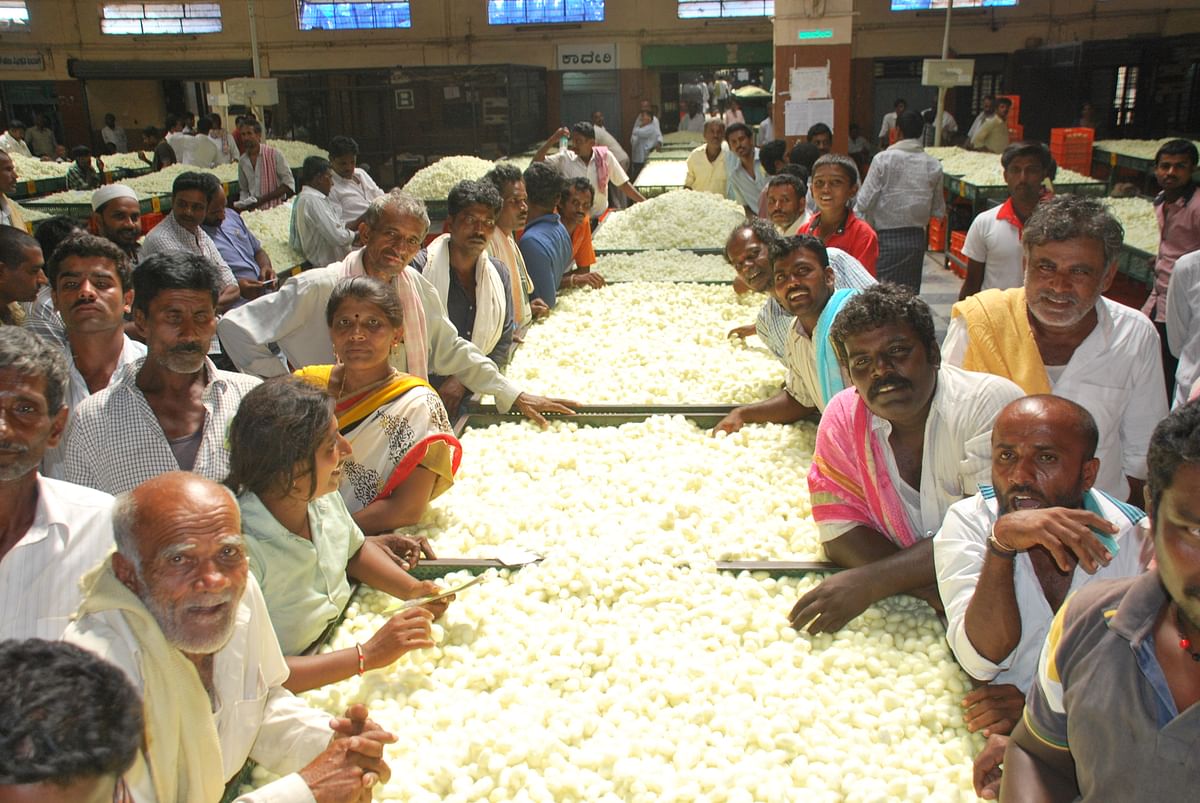 ರಾಮನಗರದ ರೇಷ್ಮೆಗೂಡು ಮಾರುಕಟ್ಟೆ