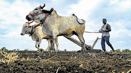 Karnataka Budget 2023: ರೈತರ ಉತ್ಪನ್ನಗಳಿಗೆ ಬ್ರ್ಯಾಂಡಿಂಗ್‌, ಕೃಷಿಗೆ ಚೈತನ್ಯ