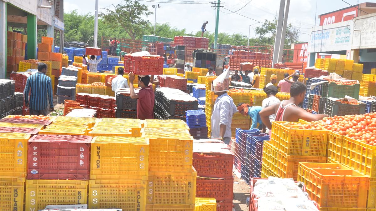 ಟೊಮೆಟೊ ದರ ಏರಿಕೆ: ಜುಲೈನಲ್ಲಿ ₹1.24 ಕೋಟಿ ಸೆಸ್‌ ಸಂಗ್ರಹ