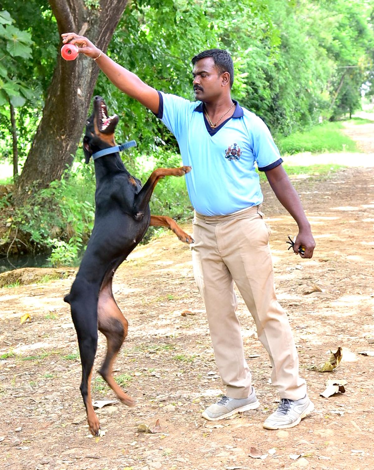 ಕಟೌಟ್‌ ಚಿತ್ರ 