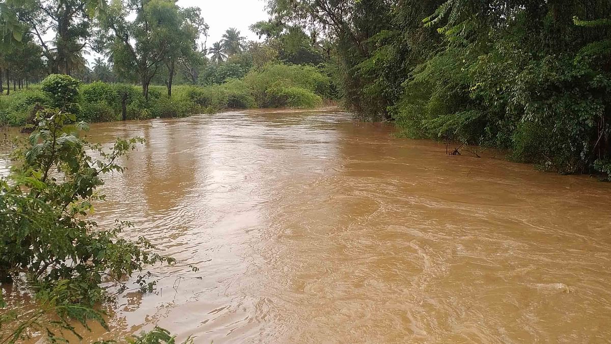 Karnataka Rains | ಇಳೆಗೆ ತಂಪೆರೆದ ಮಳೆ