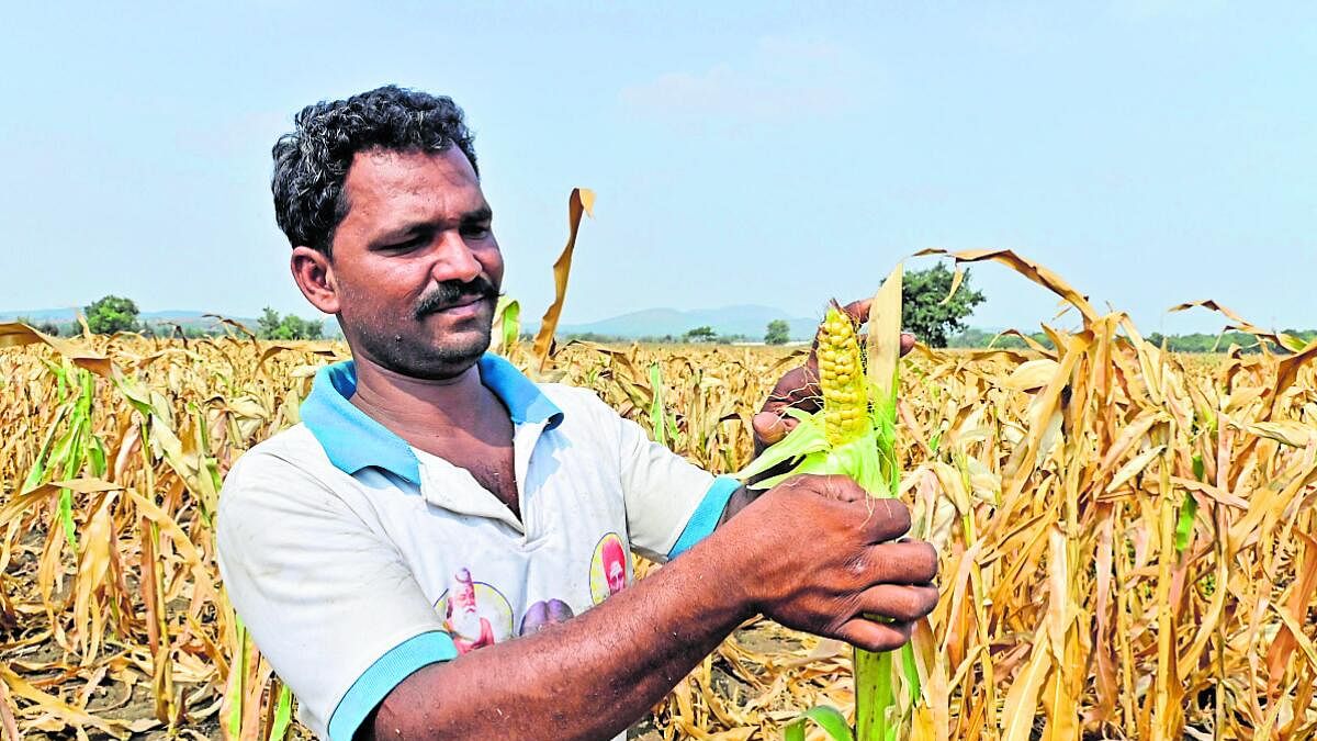 Karnataka Drought | ಯಾಕಾದರೂ ಮಳೆ ಹೋದವೋ...