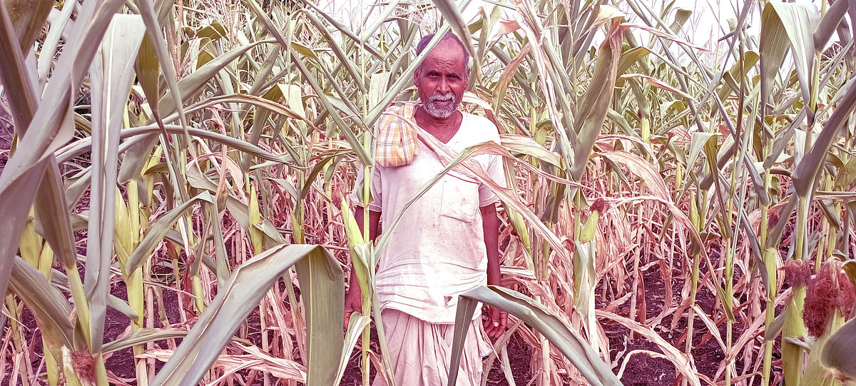 ಹೊರ್ತಿ ಸಮೀಪದ ಸಾವಳಸಂಗ ಗ್ರಾಮದ ರೈತ ನಿಂಗಪ್ಪ ಆರ್.ಬೈಗಳ್ಳಿ ಅವರ ಹೊಲದಲ್ಲಿ ಗೋವಿನ ಜೋಳ ಬೆಳೆ ಒಣಗಿದೆ