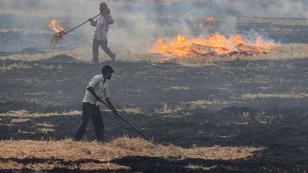 Delhi Pollution: ಪಂಜಾಬ್‌ನಲ್ಲಿ ಎಚ್ಚರಿಕೆ ಕಡೆಗಣಿಸಿ ಕೃಷಿ ತ್ಯಾಜ್ಯಕ್ಕೆ ಬೆಂಕಿ