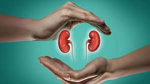 Kidney Stones | ನಿರ್ಲಕ್ಷ್ಯ ಬೇಡ, ಜಾಗೃತಿ ಇರಲಿ!