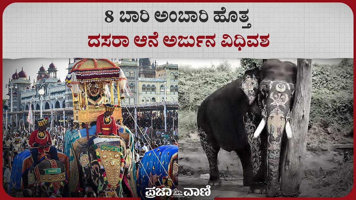 Video | 8 ಬಾರಿ ಅಂಬಾರಿ ಹೊತ್ತ ದಸರಾ ಆನೆ ಅರ್ಜುನ ವಿಧಿವಶ