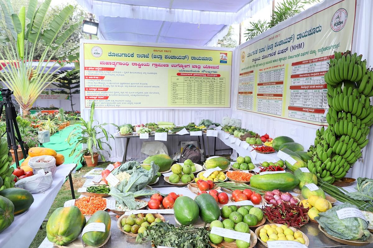 ರಾಯಚೂರಿನ ತೋಟಗಾರಿಕೆ ಉದ್ಯಾನದಲ್ಲಿಆಯೋಜಿಸಿರುವ ಫಲಪುಷ್ಪ ಪ್ರದರ್ಶನದಲ್ಲಿ ತರಕಾರಿ ಹಾಗೂ ಹಣ್ಣುಗಳನ್ನು ಪ್ರದರ್ಶನಕ್ಕೆ ಇಡಲಾಗಿದೆ