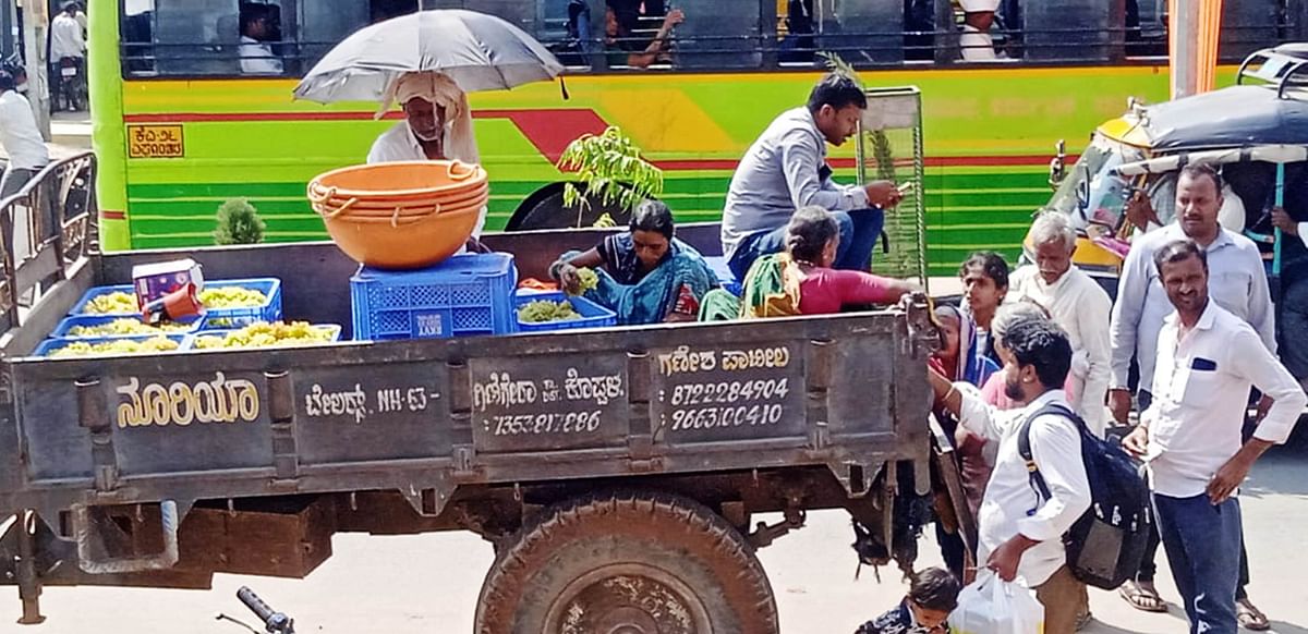 ಕುಷ್ಟಗಿ ತಾಲ್ಲೂಕು ಗುಮಗೇರಾದ ರೈತ ಮಹಾಂತಗೌಡ ಅವರು ತಮ್ಮ ತೋಟದಲ್ಲಿ ದ್ರಾಕ್ಷಿ ಹಣ್ಣನ್ನು ಮಾರುಕಟ್ಟೆಗೆ ತಂದು ನೇರ ಮಾರಾಟ ಮಾಡಿದರು