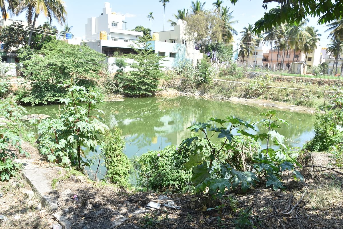 ಕಂದವಾರ ಬಾಗಿಲು ಬಳಿಯ ಕಲ್ಯಾಣಿಯ ಸ್ಥಿತಿ