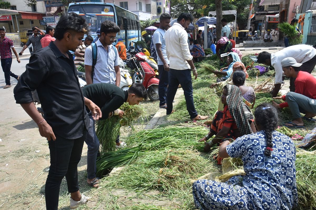 ದಾವಣಗೆರೆಯ ಹೊಂಡದ ಸರ್ಕಲ್‌ನಲ್ಲಿ ಕುರಿಗಳ ಮೇವಿಗಾಗಿ ಹುಲ್ಲಿನ ವ್ಯಾಪಾರ ನಡೆಯುತ್ತಿರುವುದು