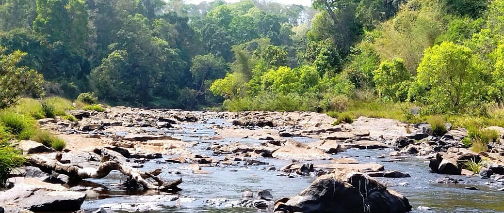 ಬಂಡೆಗಳು ಎದ್ದು ಕಾಣುತ್ತಿರುವ ಗುಹ್ಯ ಗ್ರಾಮದಲ್ಲಿನ ಕಾವೇರಿ ನದಿ