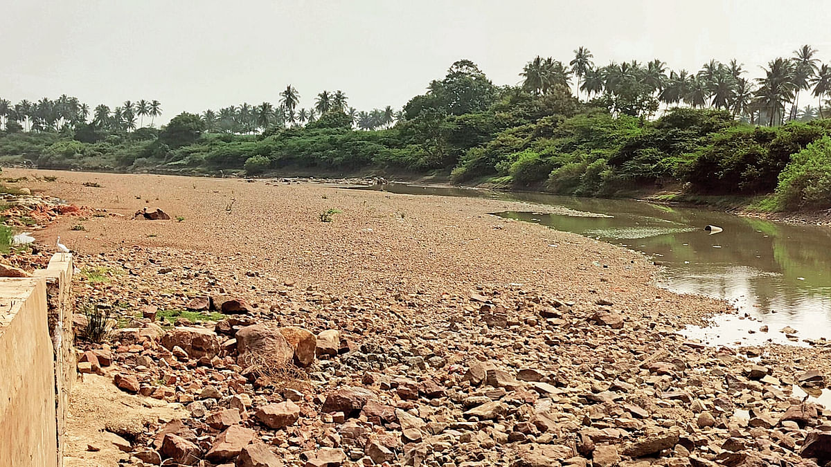 ಗುಳೇದಗುಡ್ಡ | ಬರಿದಾದ ಮಲಪ್ರಭೆ ಒಡಲು: ಜನ ಜಾನುವಾರುಗಳಿಗೆ ನೀರಿನ ಸಂಕಷ್ಟ