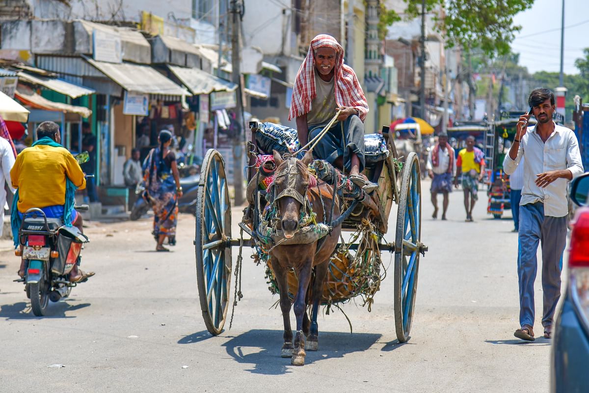 ಬದುಕಿನ ಬಂಡಿ... ಉರಿ ಬಿಸಿಲ ನಡುವೆಯೂ ಕಾಯಕದಲ್ಲಿ ತೊಡಗಿದ್ದ ಟಾಂಗಾವಾಲಾ