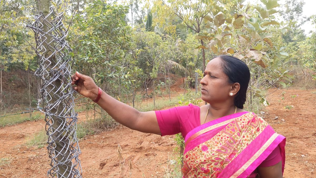 ಮಂಗಳಗೌರಮ್ಮ