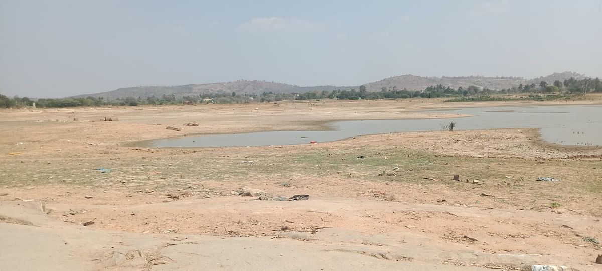 ಸಾದಲಿ ಹೊಸ ಕೆರೆಯಲ್ಲಿ ನೀರಿಲ್ಲದೆ ಬಯಲು ಭೂಮಿಯಂತೆ ಕಾಣುತ್ತಿರುವುದು.