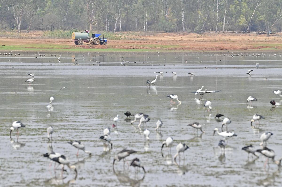 ಕೊಂಡಜ್ಜಿ ಕೆರೆಯ ನೀರನ್ನು ಟ್ಯಾಂಕರ್‌ಗಳ ಮೂಲಕ ಸಾಗಿಸುತ್ತಿದ್ದು ಪಕ್ಷಿಗಳು ಜಲಚರಗಳು ಸಂಕಷ್ಟದಲ್ಲಿವೆ