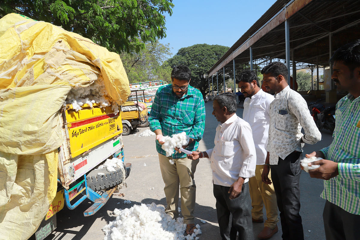 ರಾಯಚೂರು ಹತ್ತಿ ಮಾರುಕಟ್ಟೆಗೆ ವಾಹನದಲ್ಲಿ ರೈತರು ತೆಗೆದುಕೊಂಡು ಬಂದಿರುವ ಹತ್ತಿಯನ್ನು ವರ್ತಕರು ಪರೀಕ್ಷಿಸುತ್ತಿರುವುದು