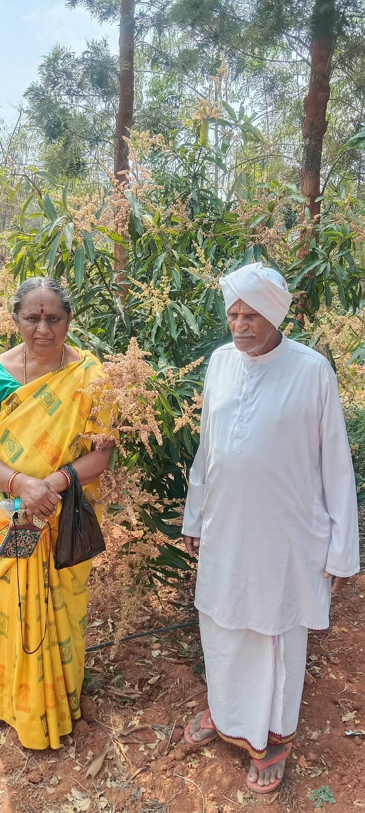 ಸಾವಯವ ಕೃಷಿ ಮಾಡುವ ಯಶೋಧ ನಾಗರಾಜು ದಂಪತಿ