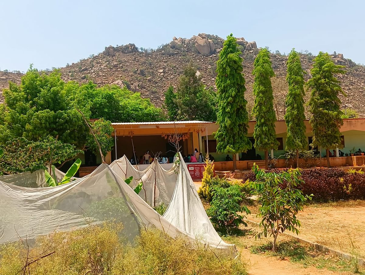 ಗಿಡ ಮರಗಳಿಂದ ಆವರಿಸಿರುವ ಕಲ್ಲಿನಾಯಕನಹಳ್ಳಿ ಶಾಲೆ