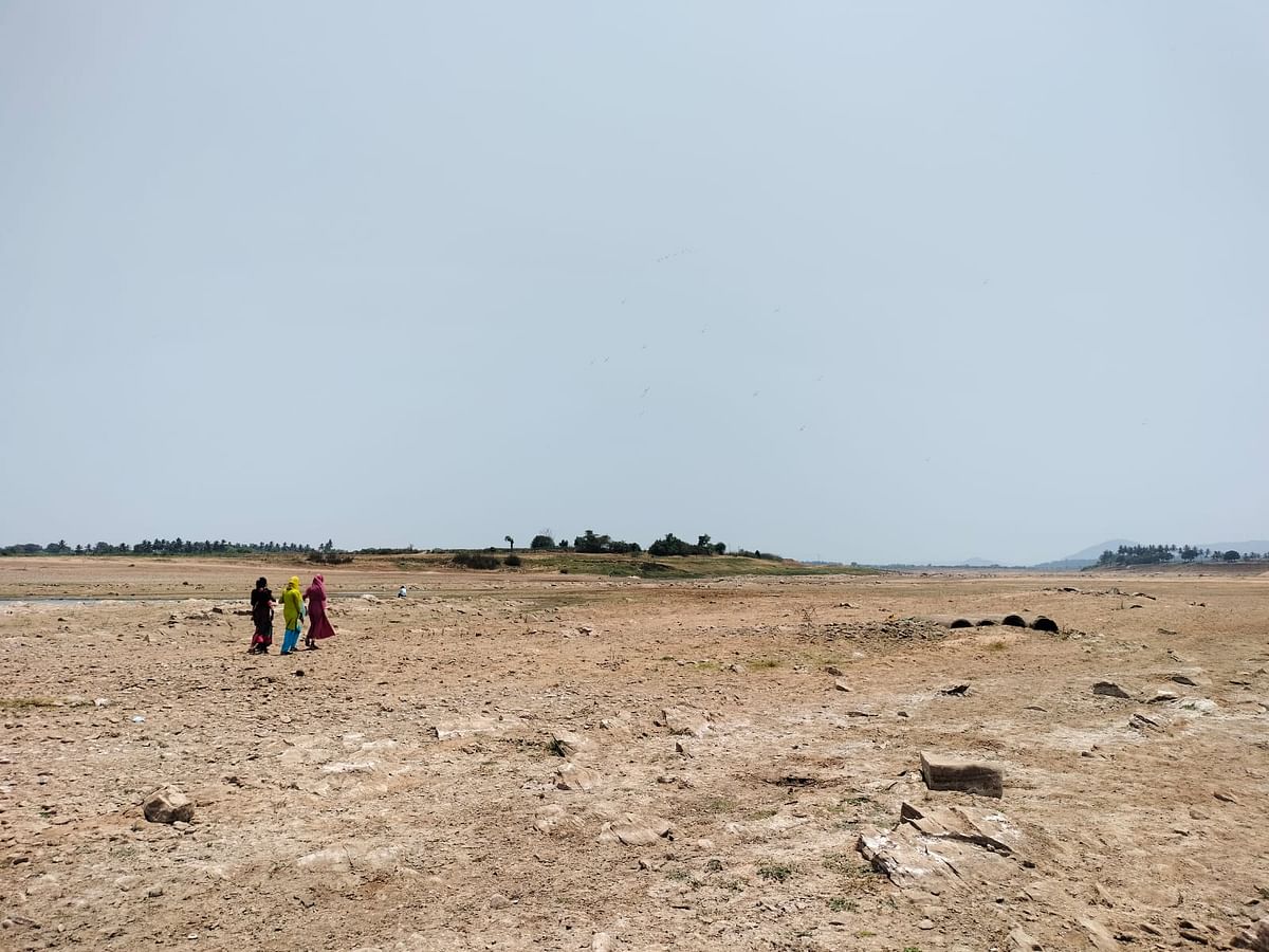 ತುಂಗಭದ್ರಾ ನದಿಪಾತ್ರ ಬರಿದಾಗಿರುವುದು