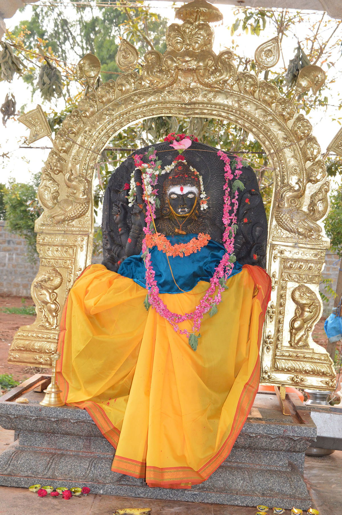 ಮರಸೂರು ಮಡಿವಾಳದ ಕೆರೆಯಲ್ಲಿ ದೊರೆತ ವನದುರ್ಗಿ ದೇವಿಯ ನೋಟ