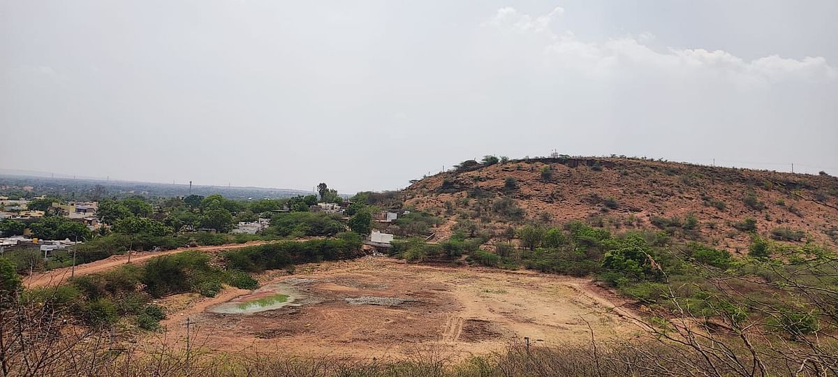 ಹನುಮಸಾಗರ ಕರೆಯ ವಿಹಂಗಮ ನೋಟ