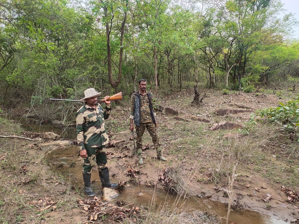 ನಾಗರಹೊಳೆ ಅರಣ್ಯದಲ್ಲಿ ಗುರುವಾರ ಅರಣ್ಯ ಇಲಾಖೆ ಸಿಬ್ಬಂದಿ ಆನೆ ಗಣತಿ  ಕಾರ್ಯ ನಡೆಸಿದರು