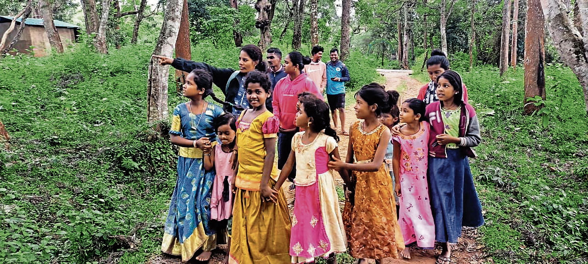 ಕಾಡಿನ ನಡಿಗೆಯ ಮೂಲಕ ಸಸ್ಯ ಜಗತ್ತಿನ ಪರಿಚಯವನ್ನು ಸೋಲಿಗ ಮಕ್ಕಳಿಗೆ ಮಾಡಲಾಗುತ್ತಿದೆ