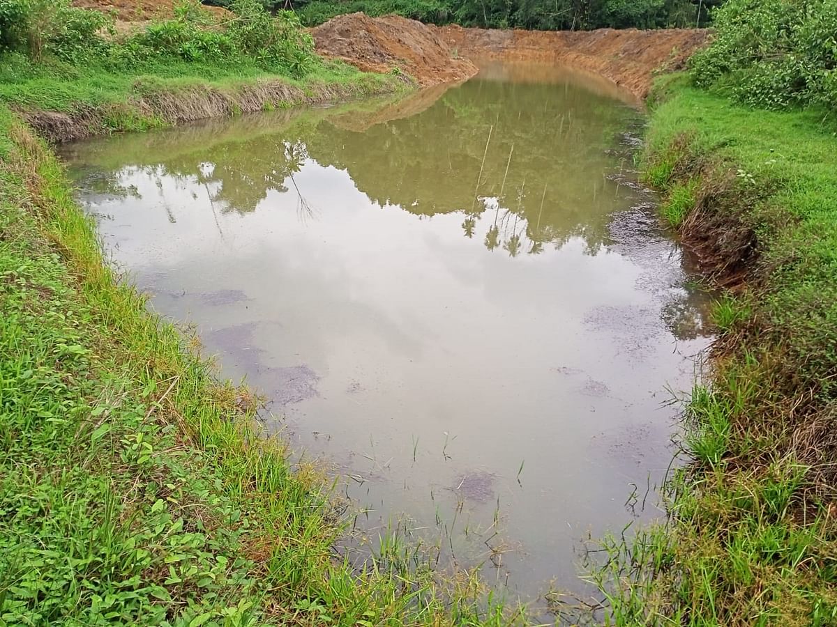 ಕಾಫಿ ತೋಟಕ್ಕೆ ನೀರು ಹಾಯಿಸಲು ನಾಪೋಕ್ಲು ಸಮೀಪದ ಬೇತು ಗ್ರಾಮದಲ್ಲಿನ ಕೆರೆಯೊಂದನ್ನು ವಿಸ್ತರಿಸಿದ್ದು ಈಚೆಗೆ ಸುರಿದ ಮಳೆಯಿಂದಾಗಿ ಭರ್ತಿಯಾಗಿದೆ.