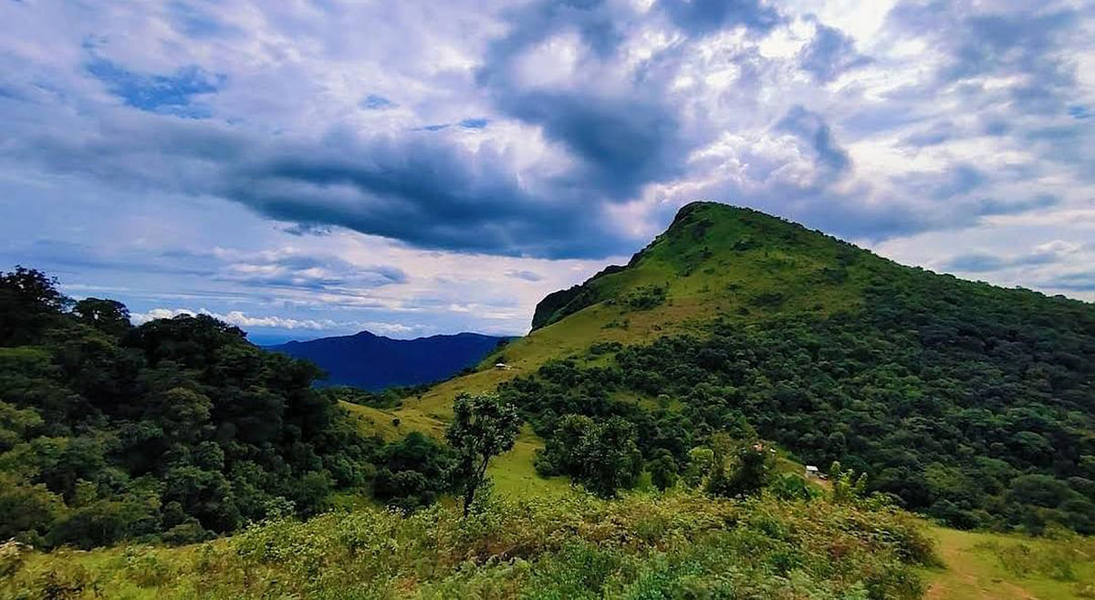 ಎಲ್ಲಿ ಓಡುವಿರಿ ನಿಲ್ಲಿ ಮೋಡಗಳೇ ನಾಲ್ಕು ಹನಿಯ ಚೆಲ್ಲಿ..