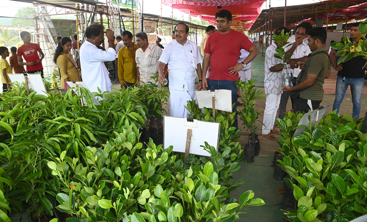  ಕೃಷಿ ಮೇಳದಲ್ಲಿ ಸಸಿಗಳ ಖರೀದಿ ಭರಾಟೆ 