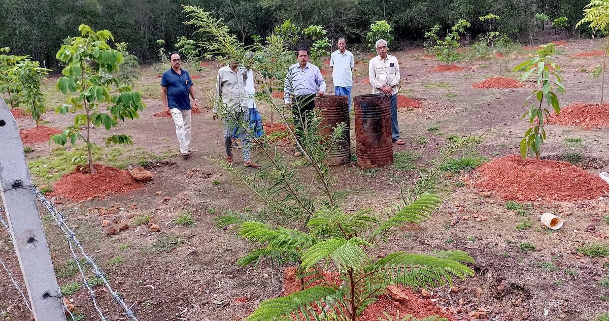 ಕುಮಟಾ: ಉದ್ಯಾನ ರೂಪಿಸಿ ಒತ್ತುವರಿ ತಡೆದರು!