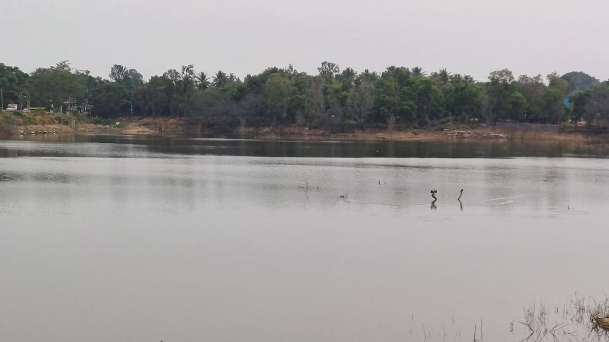 ನೀರು ಶೇಖರಣೆಯ ನೋಟ