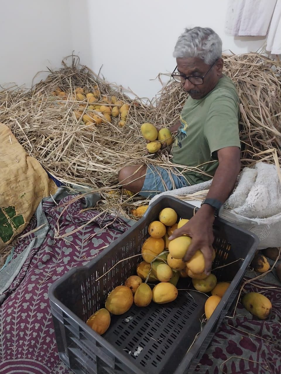 ಮಾವು ಫಸಲಿನೊಂದಿಗೆ ಹಳ್ಳಿಗೇರಿಯ ರೈತ ಆರ್‌.ಜಿ.ತಿಮ್ಮಾಪುರ