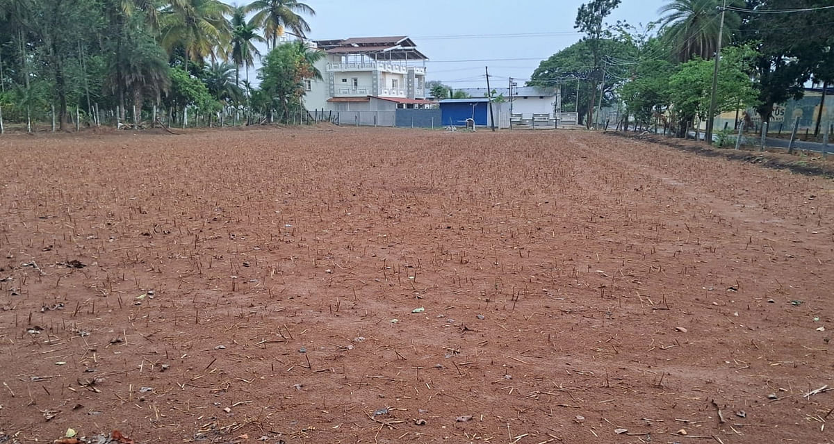 ತಿಪಟೂರು ತಾಲ್ಲೂಕಿನಲ್ಲಿ ಮಳೆಯಾಗಿರುವುದು 