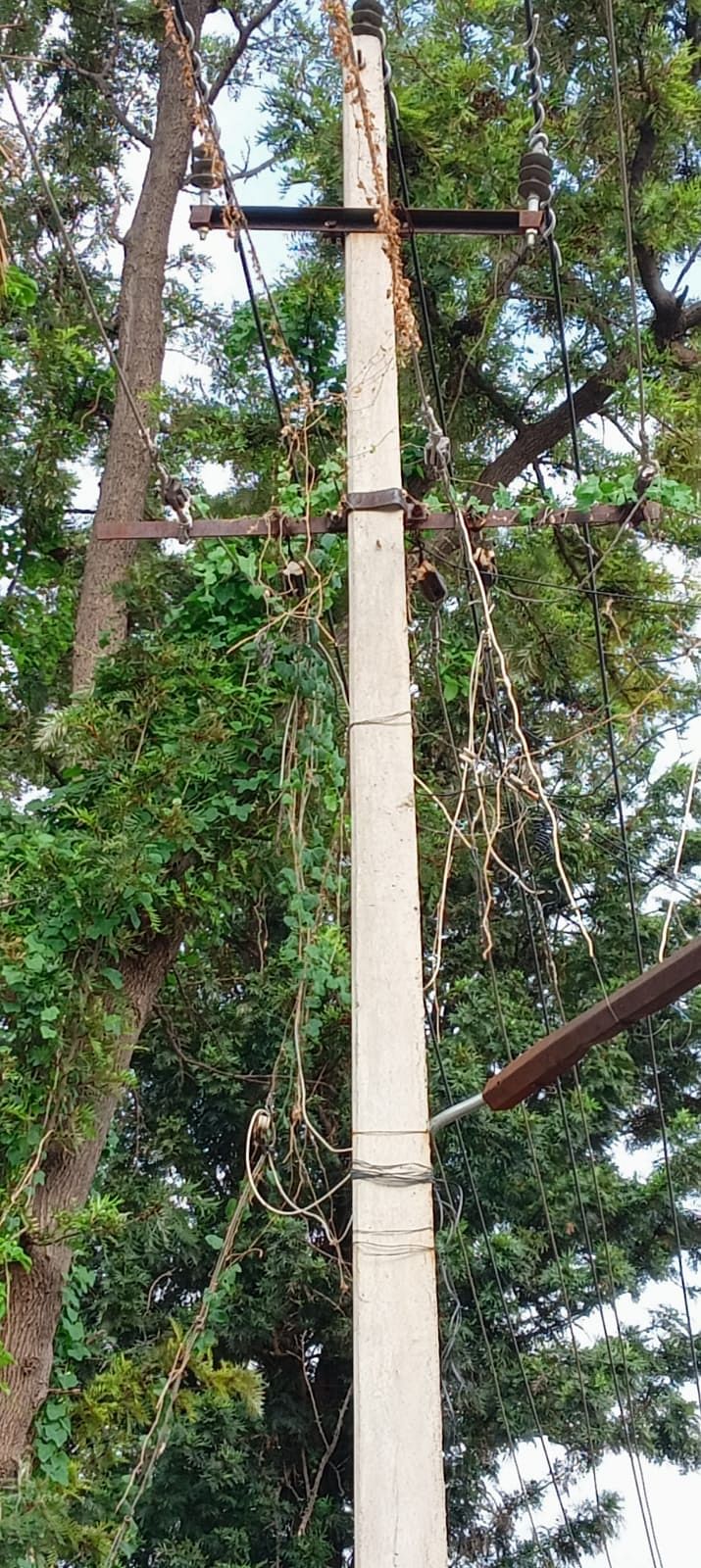 ಕೋಟೆ ಕೋದಂಡ ರಾಮಸ್ವಾಮಿ ದೇವಸ್ಥಾನದ ಹತ್ತಿರದ ಸ್ಥಿತಿ