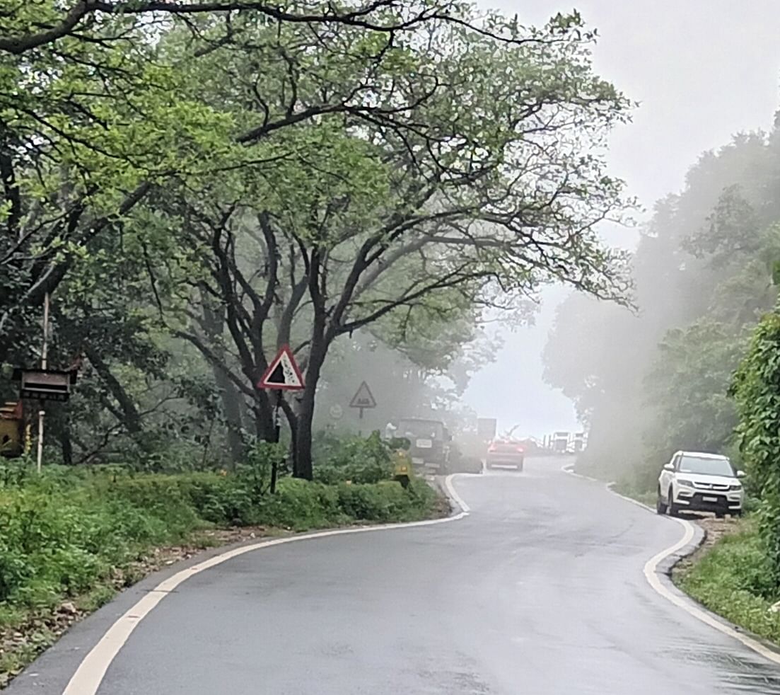 ಮಂಜು ಮುಸುಕಿದ ಚಾರ್ಮಾಡಿ ಘಾಟ್‌ ರಸ್ತೆ