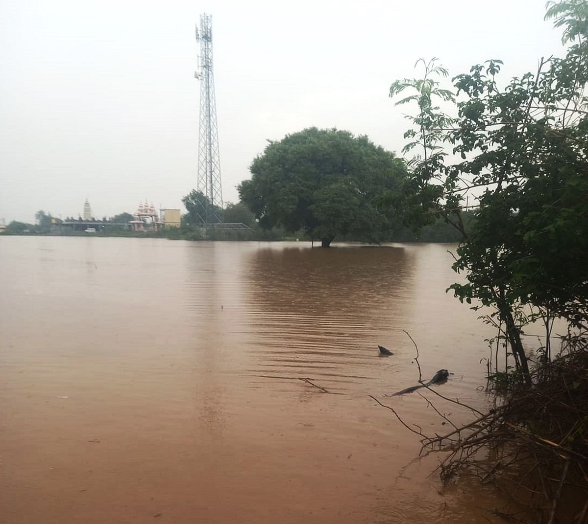 ಕಲಬುರಗಿಯ ಆಳಂದ ತಾಲ್ಲೂಕಿನ ಬೋದಾನ್–ಕಮಲಾನಗರ ನಡುವಿನ ಹಳ್ಳ ಮಳೆ ನೀರಿನಿಂದ ತುಂಬಿ ಹರಿಯಿತು