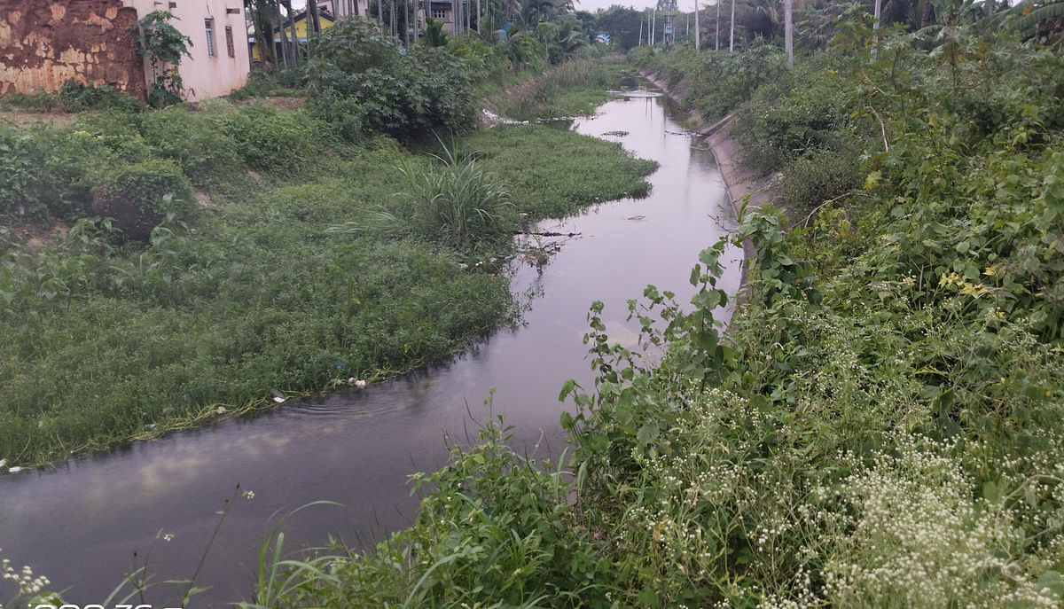 ಚನ್ನರಾಯಪಟ್ಟಣ ತಾಲ್ಲೂಕು ಶ್ರೀನಿವಾಸಪುರ ಬಳಿ ಹಾದುಹೋಗಿರುವ ಶ್ರೀರಾಮದೇವರ ನಾಲೆಯಲ್ಲಿ ಹೂಳು ತುಂಬಿರುವುದು