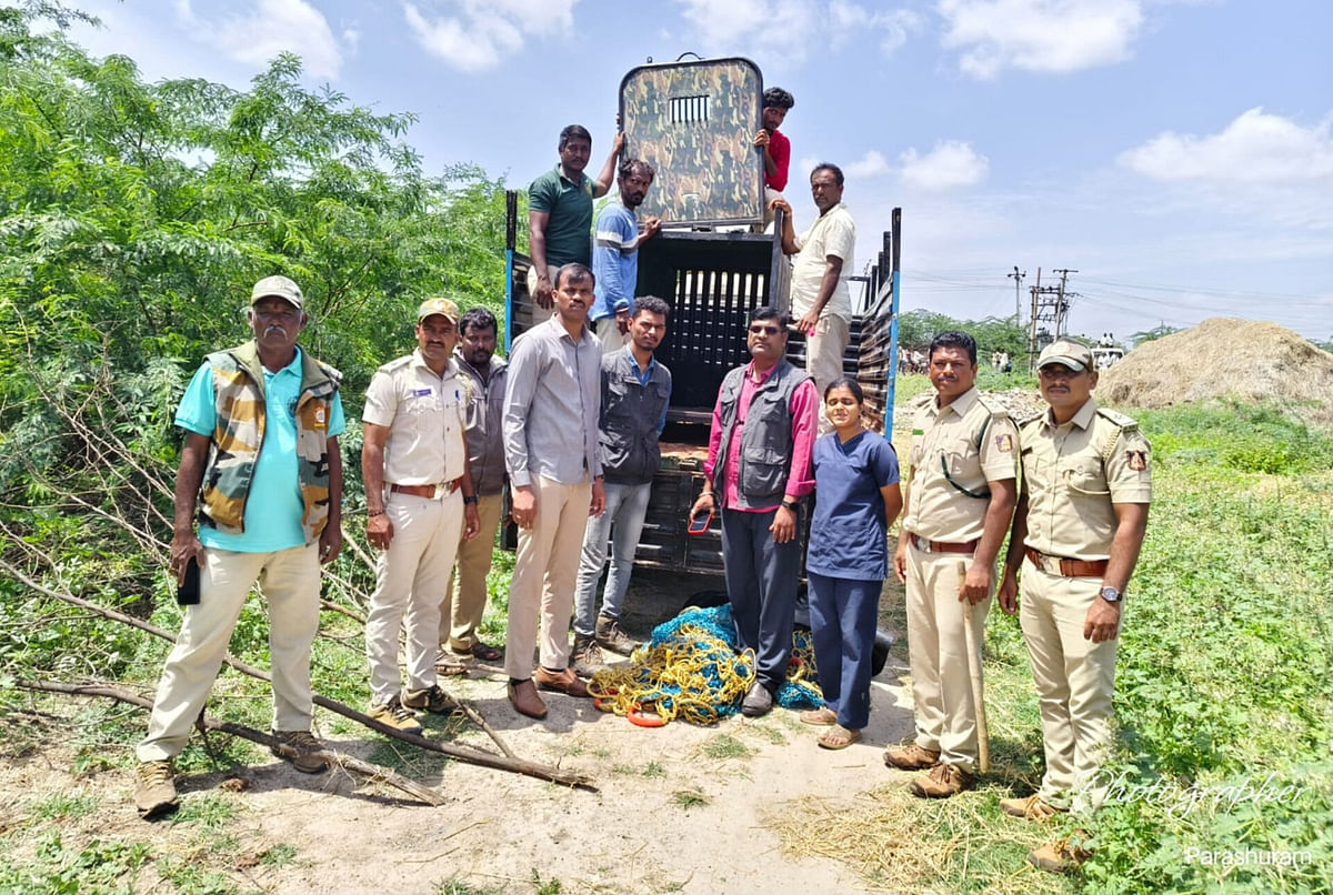 ಕಂಪ್ಲಿ ತಾಲ್ಲೂಕು ದೇವಸಮುದ್ರ ಗ್ರಾಮದ ಹೊರ ವಲಯದ ಗೋದಾಮು ಬಳಿಯ ಮುಳ್ಳು ಪೊದೆಯಲ್ಲಿ ಅಡಗಿದ್ದ ಕರಡಿಯನ್ನು ಅರಣ್ಯ ಇಲಾಖೆ ಅಧಿಕಾರಿಗಳು ಮಂಗಳವಾರ ಸೆರೆ ಹಿಡಿದು ಬೋನಿನಲ್ಲಿ ಸಾಗಿಸಿದರು