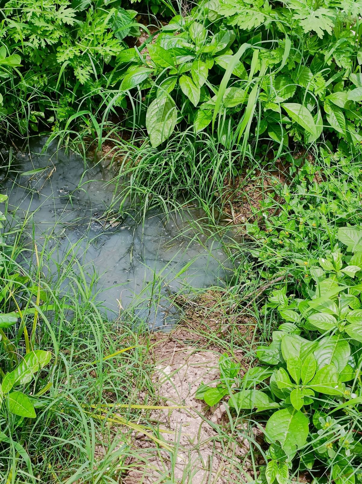 ಮನೆ ಮುಂದಿನ ಹಳ್ಳದಲ್ಲಿ ನೀರು ಹಿಂಗಿಸುತ್ತಿರುವುದು