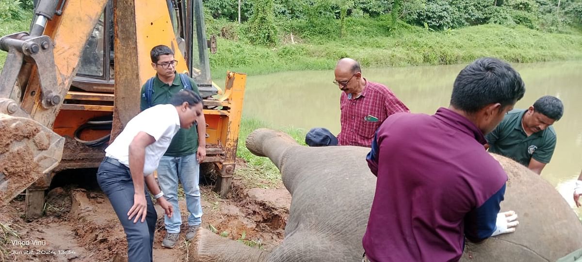 ಕೊಡಗಿನ ಕಣ್ಣಂಗಾಲ ಗ್ರಾಮದ ಹಚ್ಚಿನಾಡು ಬಳಿಯ ಕೆರೆಯಲ್ಲಿದ್ದ ಆನೆಯ ಕಳೇಬರವನ್ನು ಜೆಸಿಬಿ ಸಹಾಯದಿಂದ ಹೊರ ತೆಗೆಯಲಾಯಿತು