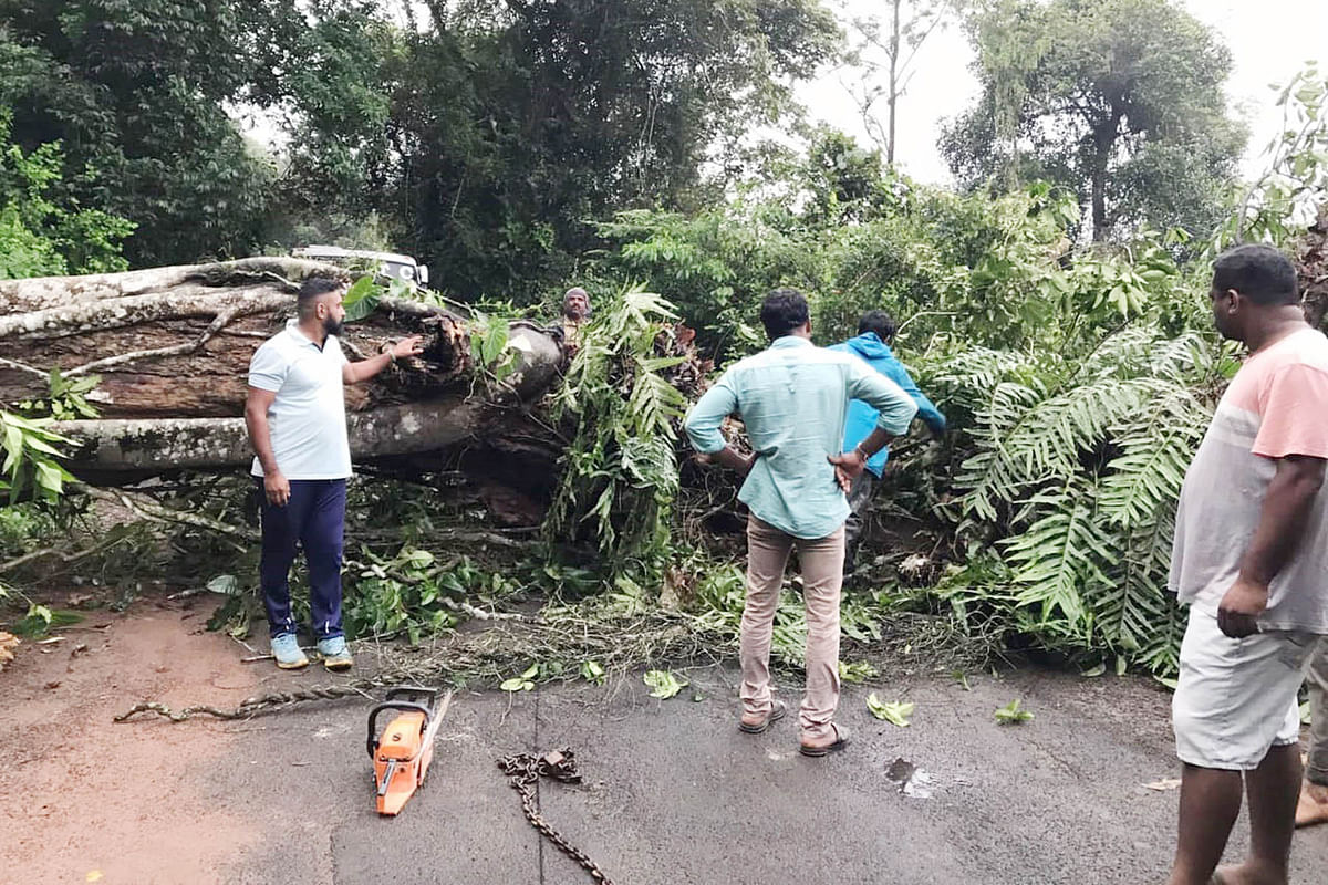 ನಾಪೋಕ್ಲು ಸಮೀಪದ ಕೈಕಾಡು ಗ್ರಾಮದಲ್ಲಿ ಶನಿವಾರ ರಸ್ತೆ ಗಡ್ಡಲಾಗಿ ಮುರಿದುಬಿದ್ದು ರಸ್ತೆ ಸಂಪರ್ಕ ಕಡಿತಗೊಂಡಿರುವುದು.