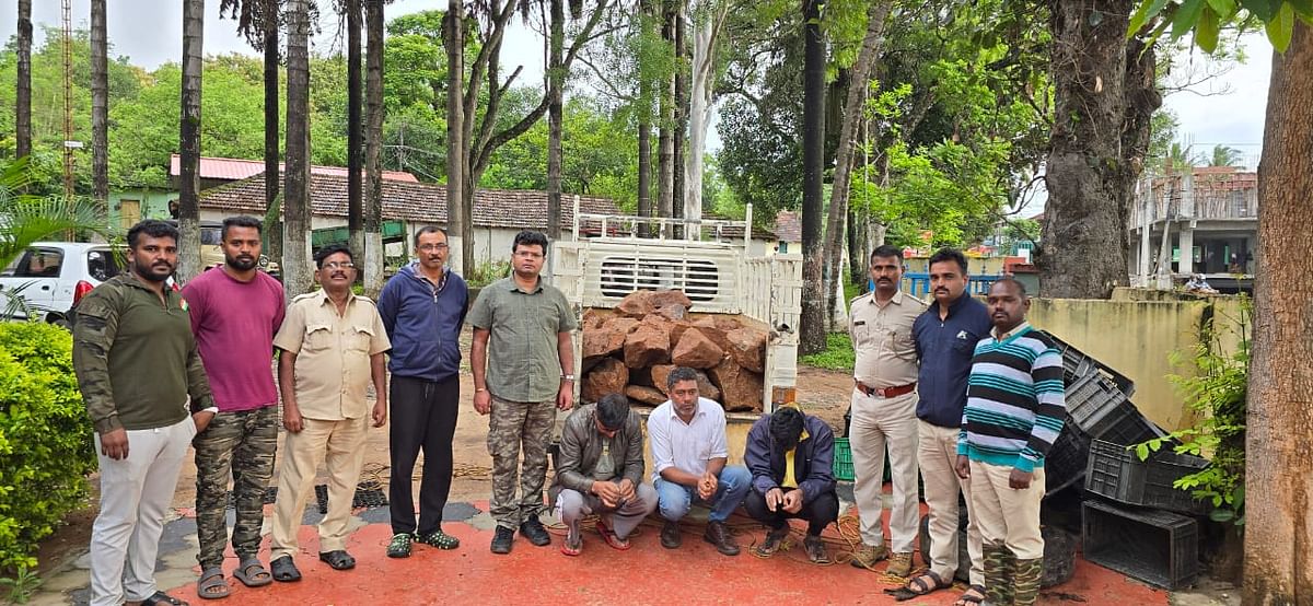 ಅಕ್ರಮವಾಗಿ ಹರಳುಕಲ್ಲು ಸಾಗಾಣಿಕೆ ಮಾಡುತ್ತಿದ್ದ ವಾಹನವನ್ನು ತಡೆದ ಅರಣ್ಯ ಸಿಬ್ಬಂದಿ ಮೂವರು ಆರೋಪಿಗಳನ್ನು ಬಂಧಿಸಿ ಹರಳು ಕಲ್ಲುಗಳನ್ನು ವಶಪಡಿಸಿಕೊಂಡಿದ್ದಾರೆ.