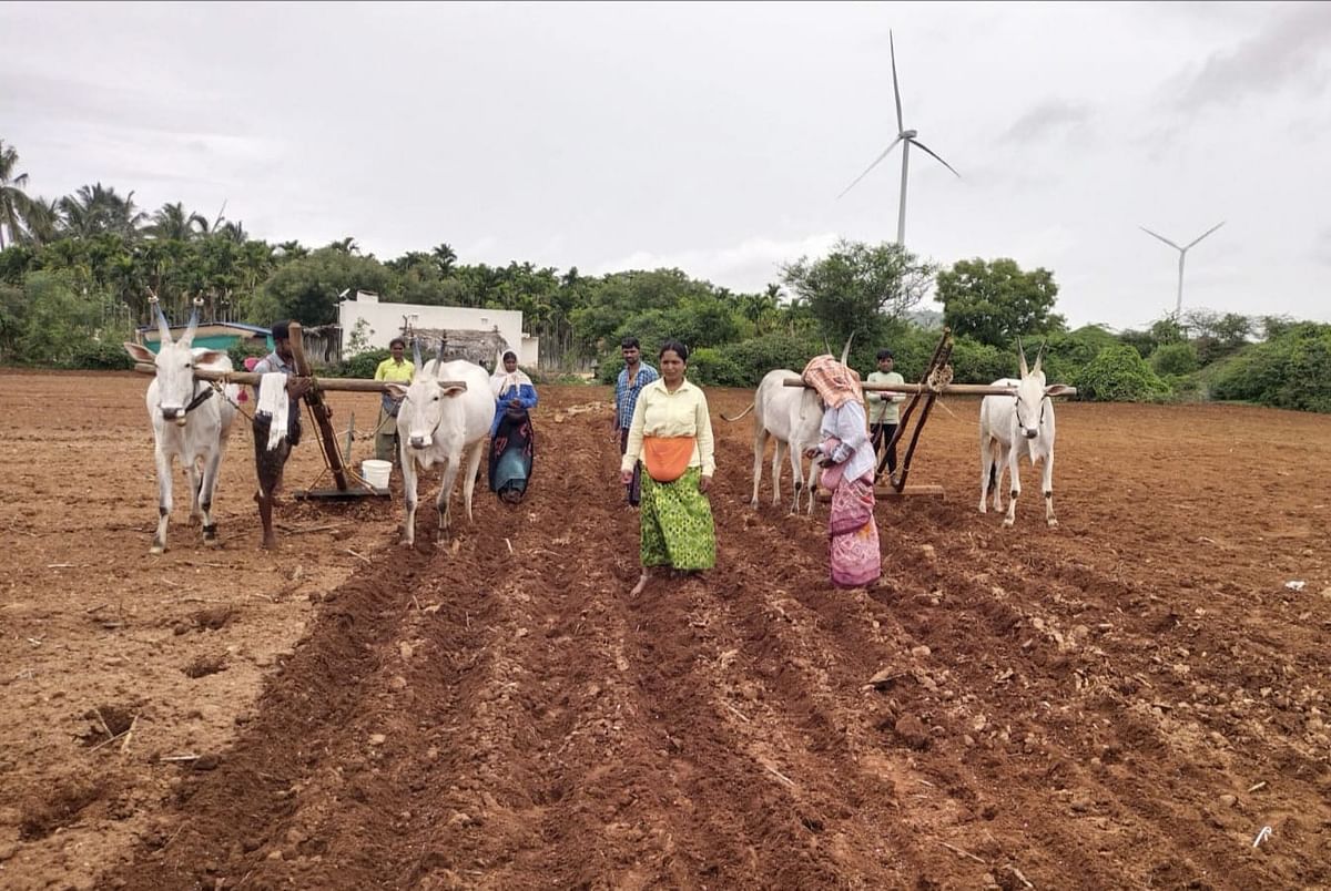 ಜಗಳೂರು ತಾಲ್ಲೂಕಿನ ಬೈರನಾಯ್ಕನಹಳ್ಳಿಯಲ್ಲಿ ಬಿತ್ತನೆ ಕಾರ್ಯದಲ್ಲಿ ನಿರತರಾದ ರೈತರು