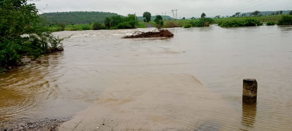 ಚಿಂಚೋಳಿ ತಾಲ್ಲೂಕು ತಾಜಲಾಪುರ ಸೇತುವೆ ಮುಳುಗಡೆಯಾಗಿದ್ದು ಗ್ರಾಮ ಹಾಗೂ ಭಾಲ್ಕಿ ಚಿಂಚೋಳಿ ರಾಜ್ಯ ಹೆದ್ದಾರಿ 75ರ ಸಂಪರ್ಕ ಕಡಿತವಾಗಿತ್ತು (ಸಂಗ್ರಹ ಚಿತ್ರ)