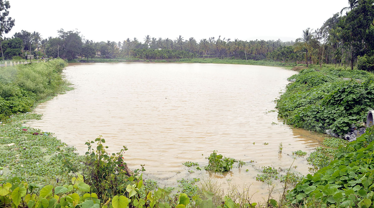 ಚಿಕ್ಕಮಗಳೂರು ತಾಲ್ಲೂಕಿನ ಬೀಕನಹಳ್ಳಿ ಗ್ರಾಮದ ಕೆರೆ ಭರ್ತಿಯಾಗಿರುವುದು