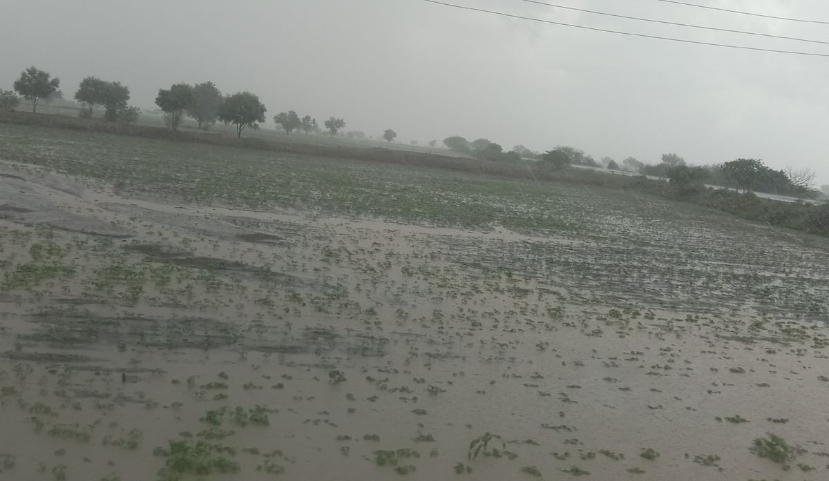 ಜೋರಾಗಿ ಮಳೆ ಸುರಿದಿದ್ದರಿಂದ ನರಗುಂದ ಹೊರವಲಯದ ಜಮೀನುಗಳಲ್ಲಿ ನೀರು ನಿಂತುಕೊಂಡಿತ್ತು